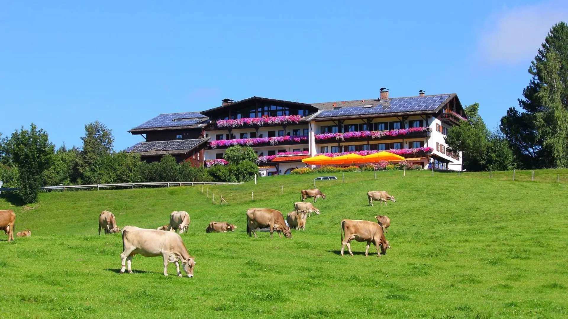 Landhotel Schwarzenbach - Wellness & Spa Rieden 3*,